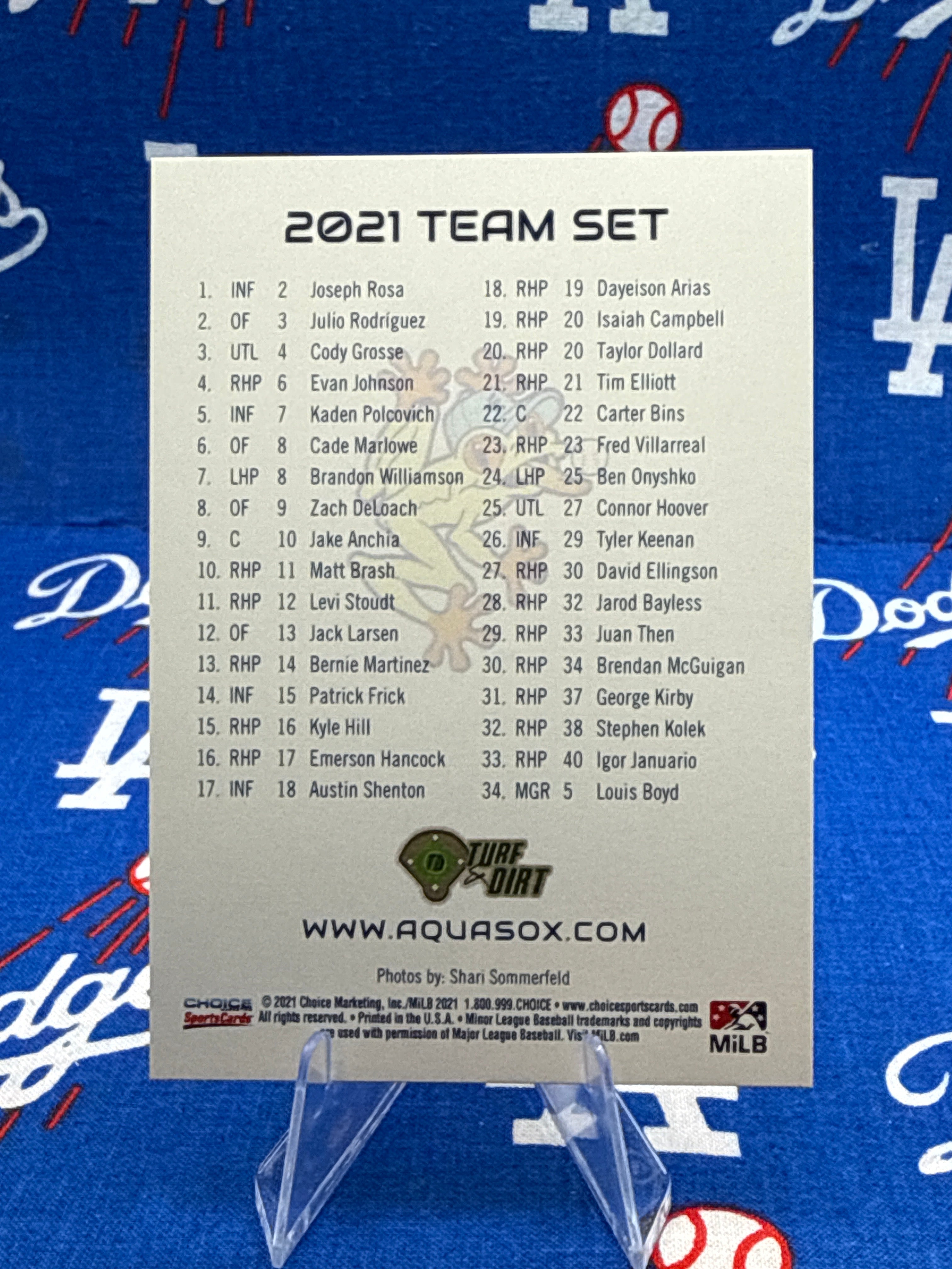 2021 Choice Everett AquaSox Team Set Checklist Card Julio Rodríguez #3 Seattle Mariners Minor League Raw